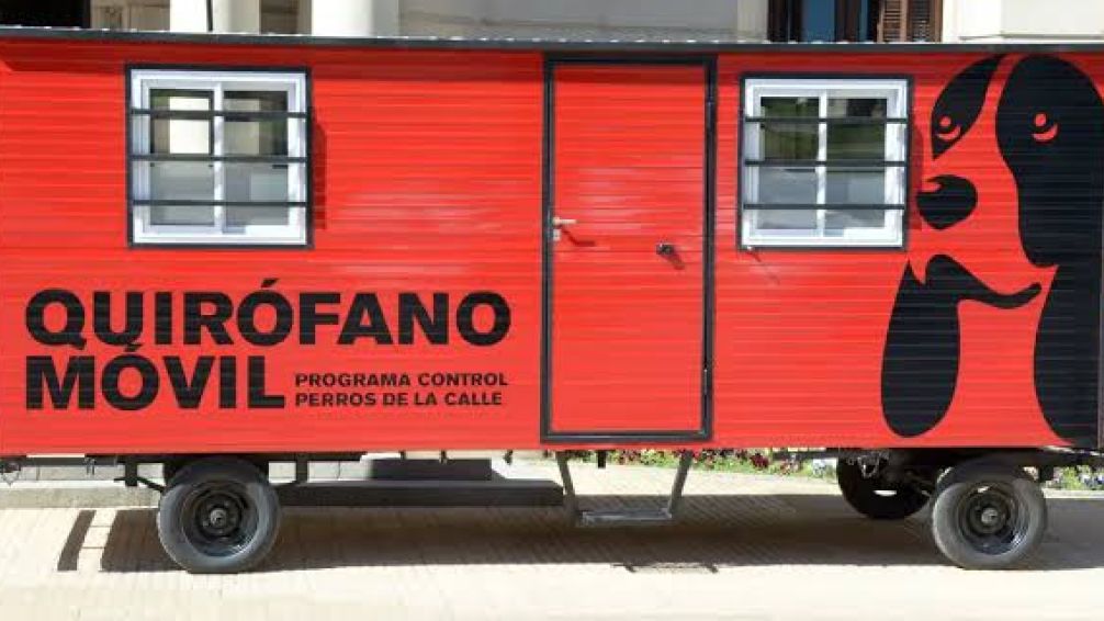 El Programa de Castraciones y Vacunaciones Gratuitas llega al barrio San Juan
