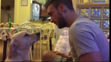 Si retás a tu perro, no pierdas con su ternura